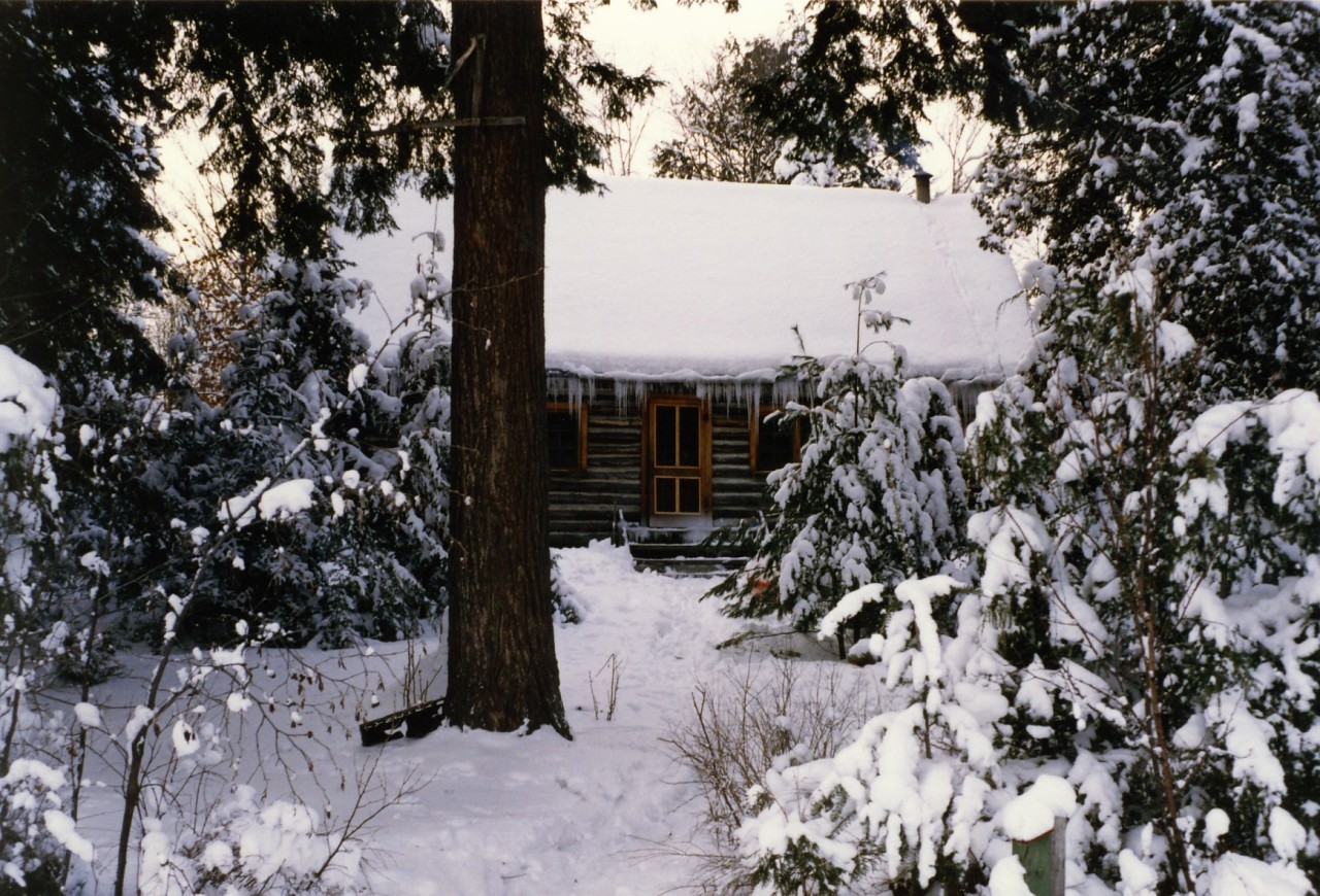 best of Cabin winter
