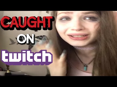 Canine reccomend twitch moments