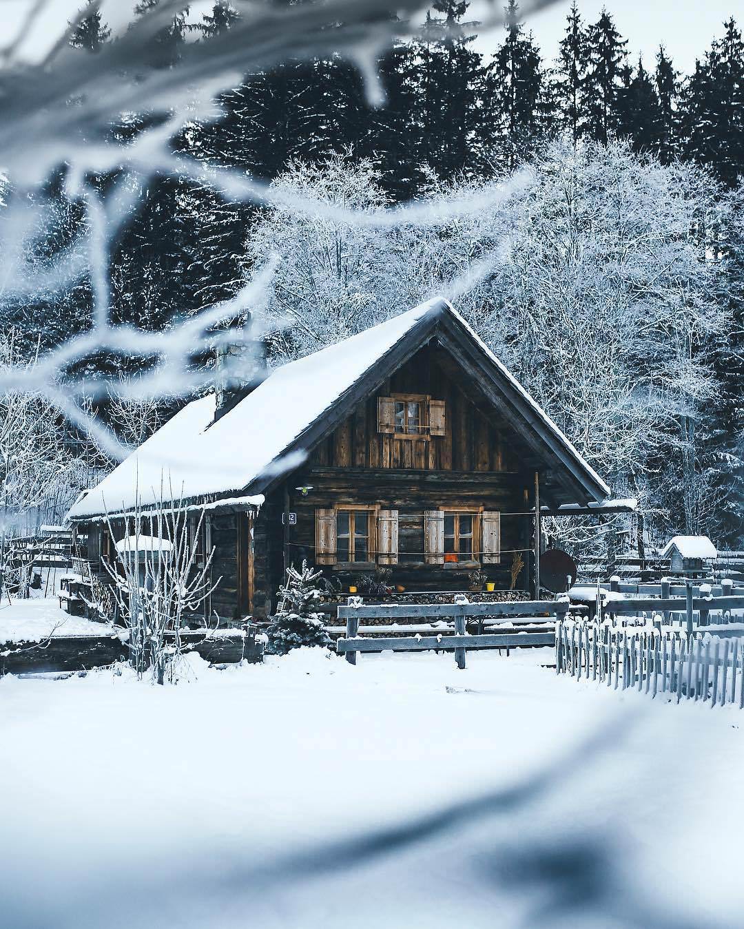 The T. reccomend winter cabin